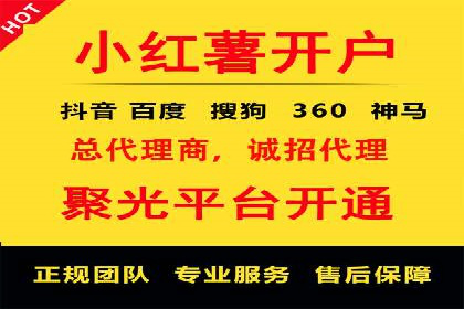 SEM服务公司成功案例解读